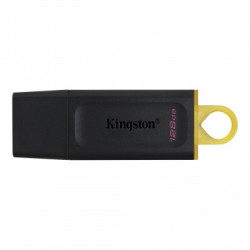 Memoria USB Kingston Technology DATATRAVELER EXODIA