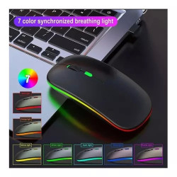 MOUSE INALAMBRICO RECARGABLE