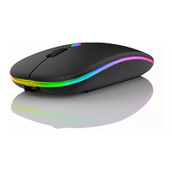 MOUSE INALAMBRICO RECARGABLE